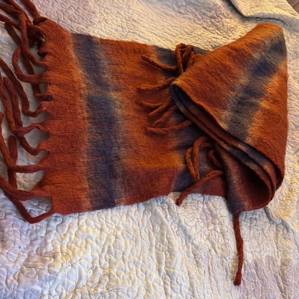 Cozy Multicolor Fringe Scarf